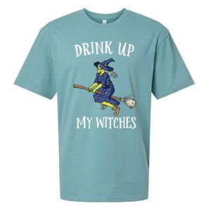 Funny Witch Halloween Design Up My Witches Ing Gift Sueded Cloud Jersey T-Shirt