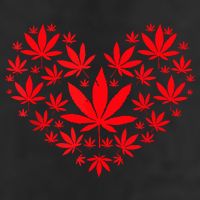 Funny Weed Heart Valentines Day Cannabis 420 Pot Stoner 7 Panel Mesh Trucker Snapback Hat