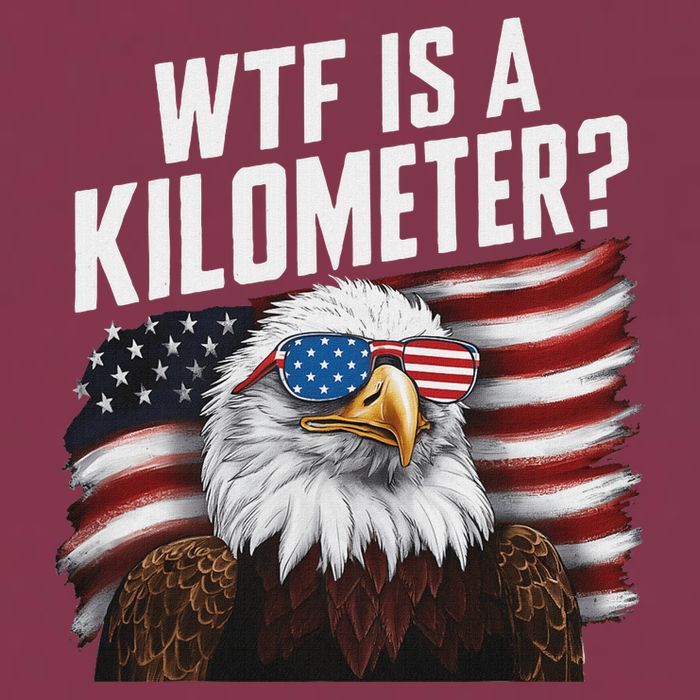 Funny Wtf Is A Kilometer 4th Of July Usa Bald Eagle 16oz Travel Tumbler