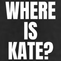 Funny Where Is Kate Royal Family Kate Middleton Adult Drive Performance Visor
