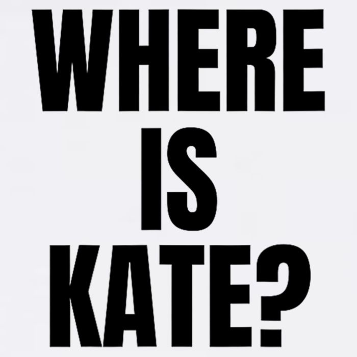 Funny Where Is Kate Royal Family Kate Middleton Cool Comfort Performance Bucket Hat