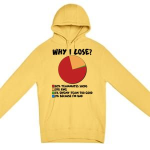 Funny Why I Lose Video Gamer Chart Premium Pullover Hoodie