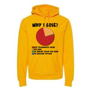 Funny Why I Lose Video Gamer Chart Premium Hoodie