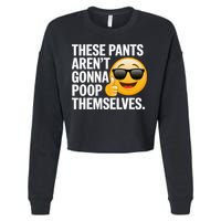 Funny Weird Joke Hilarious Sarcastic Gross Poop Meme Humor Cropped Pullover Crew