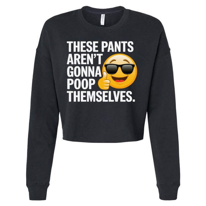 Funny Weird Joke Hilarious Sarcastic Gross Poop Meme Humor Cropped Pullover Crew
