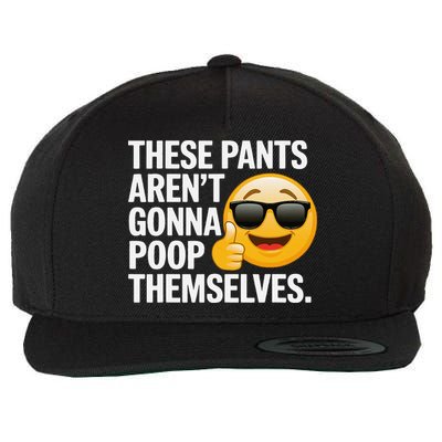 Funny Weird Joke Hilarious Sarcastic Gross Poop Meme Humor Wool Snapback Cap