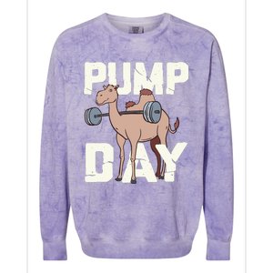 Funny Weight Lifting Hump Day Camel Fitness Humor Colorblast Crewneck Sweatshirt