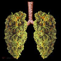 Funny Weed Lung Marijuana Bud THC Lung TShirt Sustainable Bucket Hat