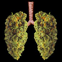 Funny Weed Lung Marijuana Bud THC Lung TShirt 16 in Basic Backpack