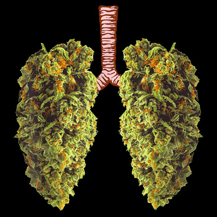 Funny Weed Lung Marijuana Bud THC Lung TShirt 16 in Basic Backpack