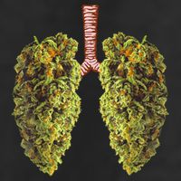 Funny Weed Lung Marijuana Bud THC Lung TShirt Golf Towel