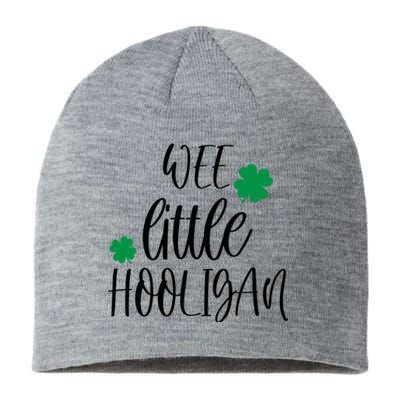 Funny Wee Little Hooligan St Patrick’s Day Funny Gift Sustainable Beanie