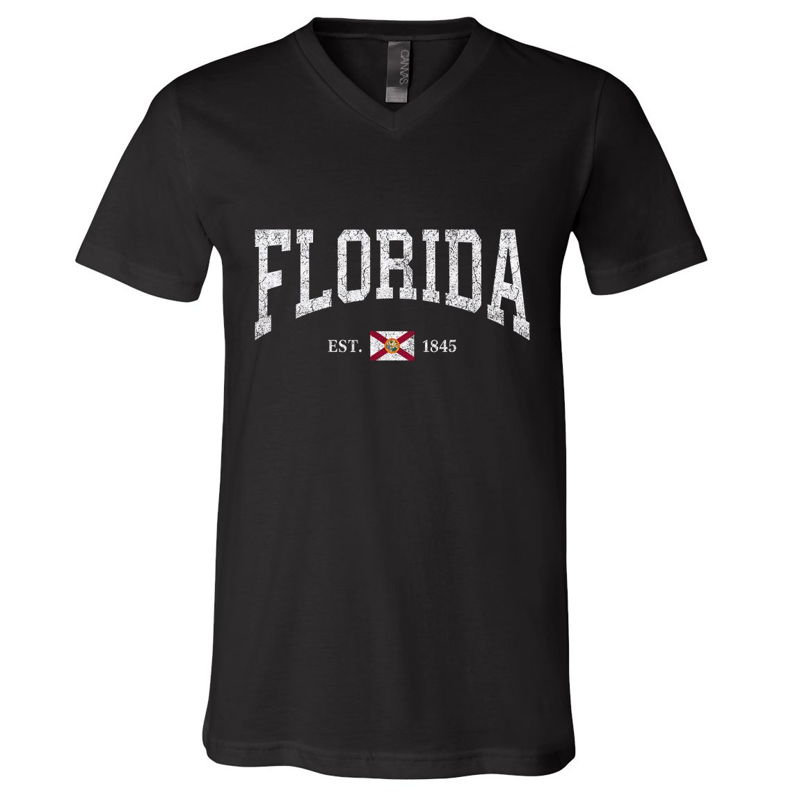 Florida Women Men Kids Florida State Flag Distressed V-Neck T-Shirt