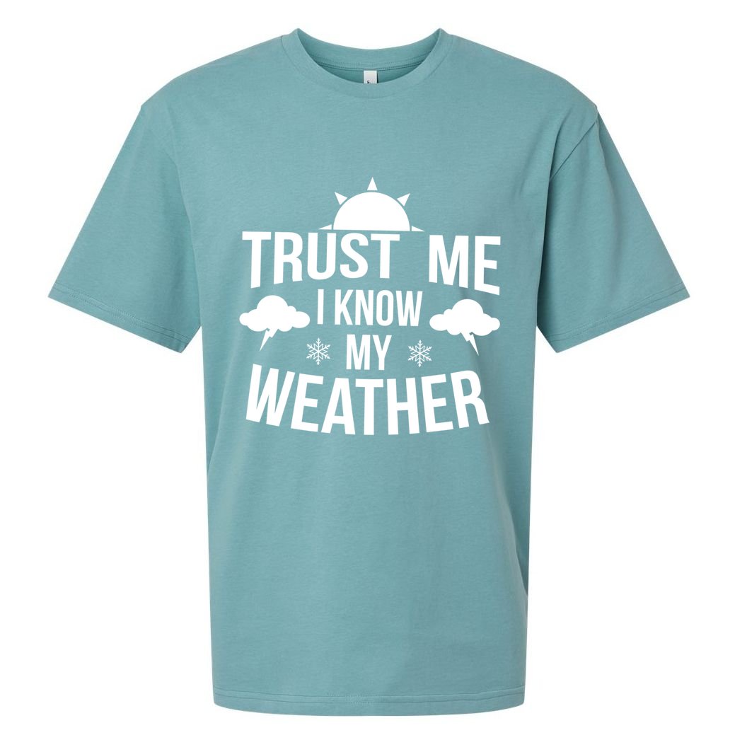 Funny Weather Meteorologist Gift Forecaster Weatherman Climate Fun Gift Sueded Cloud Jersey T-Shirt