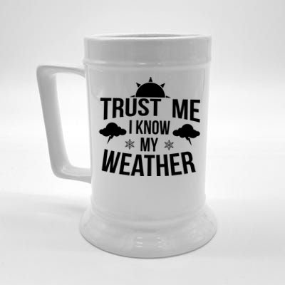 Funny Weather Meteorologist Gift Forecaster Weatherman Climate Fun Gift Beer Stein