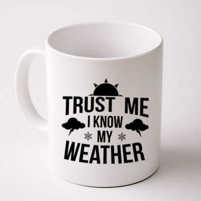 Funny Weather Meteorologist Gift Forecaster Weatherman Climate Fun Gift Coffee Mug