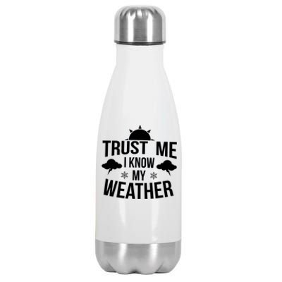 Funny Weather Meteorologist Gift Forecaster Weatherman Climate Fun Gift Stainless Steel Insulated Water Bottle