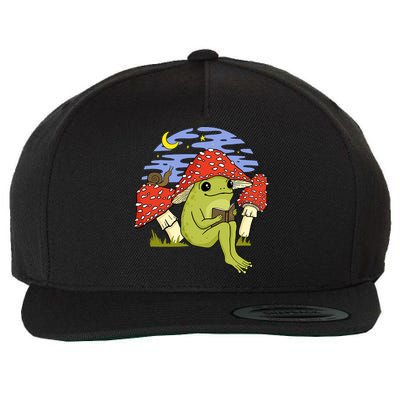 Frog With Mushroom Hat Cottagecore Goblincore Book Lover Wool Snapback Cap