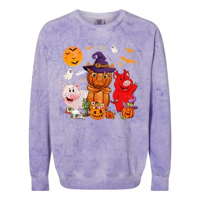 Funny Witch Mummy Pigs Lover Farmer Halloween Costume Day Cool Gift Colorblast Crewneck Sweatshirt