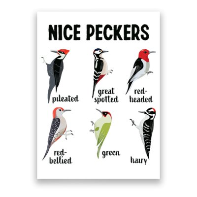 Funny Woodpecker Nice Peckers Bird Watching Poster