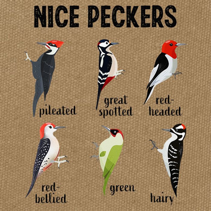 Funny Woodpecker Nice Peckers Bird Watching Cotton Canvas Backpack