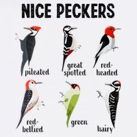 Funny Woodpecker Nice Peckers Bird Watching Cooling Performance Crew T-Shirt