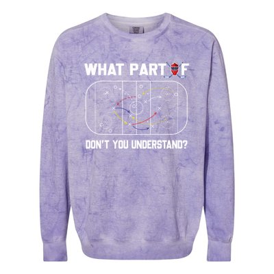 Funny What Part Of Hockey Dont You Understand Hockey Coach Gift Colorblast Crewneck Sweatshirt