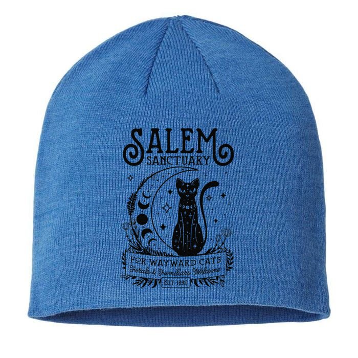 Funny Witch Salem Home For Wayward Black Cats 1692 Halloween Sustainable Beanie