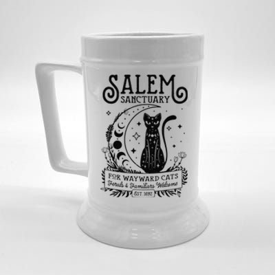 Funny Witch Salem Home For Wayward Black Cats 1692 Halloween Beer Stein