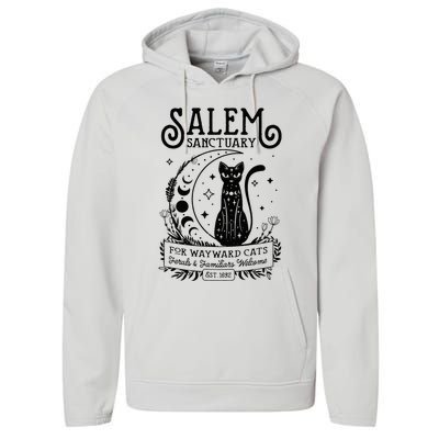 Funny Witch Salem Home For Wayward Black Cats 1692 Halloween Performance Fleece Hoodie