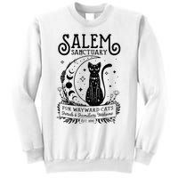 Funny Witch Salem Home For Wayward Black Cats 1692 Halloween Sweatshirt