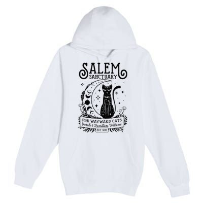 Funny Witch Salem Home For Wayward Black Cats 1692 Halloween Premium Pullover Hoodie