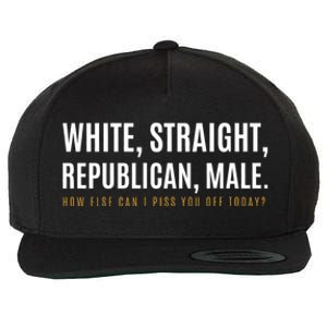 Funny White Straight Republican Male Republican Wool Snapback Cap