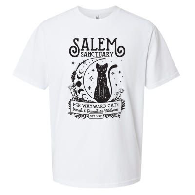 Funny Witch Salem Home For Wayward Black Cats 1692 Halloween Sueded Cloud Jersey T-Shirt