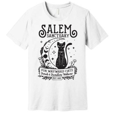 Funny Witch Salem Home For Wayward Black Cats 1692 Halloween Premium T-Shirt