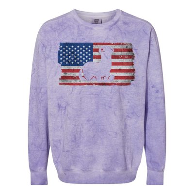 Ferret With The Usa Flag United States Of America Retro Gift Colorblast Crewneck Sweatshirt