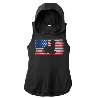 Ferret With The Usa Flag United States Of America Retro Gift Ladies PosiCharge Tri-Blend Wicking Draft Hoodie Tank