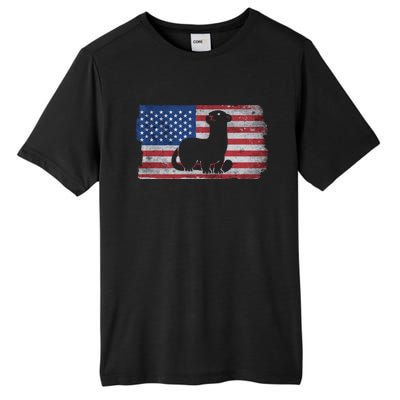 Ferret With The Usa Flag United States Of America Retro Gift Tall Fusion ChromaSoft Performance T-Shirt