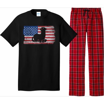 Ferret With The Usa Flag United States Of America Retro Gift Pajama Set