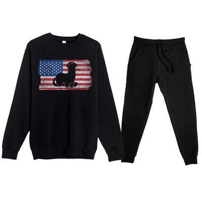 Ferret With The Usa Flag United States Of America Retro Gift Premium Crewneck Sweatsuit Set