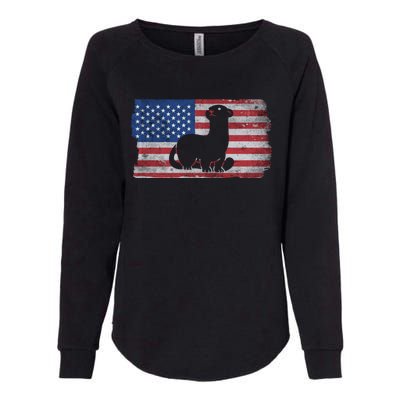 Ferret With The Usa Flag United States Of America Retro Gift Womens California Wash Sweatshirt