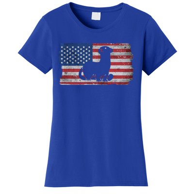 Ferret With The Usa Flag United States Of America Retro Gift Women's T-Shirt