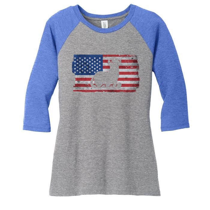 Ferret With The Usa Flag United States Of America Retro Gift Women's Tri-Blend 3/4-Sleeve Raglan Shirt