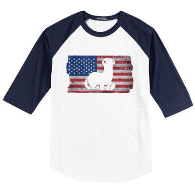 Ferret With The Usa Flag United States Of America Retro Gift Baseball Sleeve Shirt