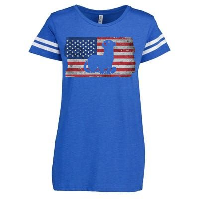 Ferret With The Usa Flag United States Of America Retro Gift Enza Ladies Jersey Football T-Shirt