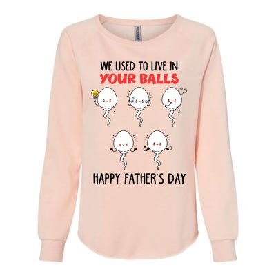 Funny We Used To Live In Your Balls Fathers Day Sperm Daddy Cute Gift Womens California Wash Sweatshirt