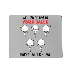 Funny We Used To Live In Your Balls Fathers Day Sperm Daddy Cute Gift Mousepad