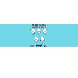 Funny We Used To Live In Your Balls Fathers Day Sperm Daddy Cute Gift Bumper Sticker