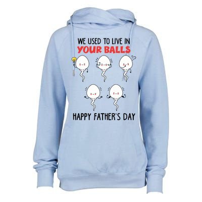 Funny We Used To Live In Your Balls Fathers Day Sperm Daddy Cute Gift Womens Funnel Neck Pullover Hood