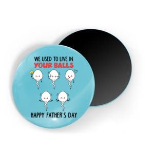 Funny We Used To Live In Your Balls Fathers Day Sperm Daddy Cute Gift Magnet